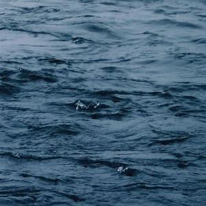 刘亦菲换脸性做爰A片
